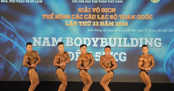 QQ88 VIP